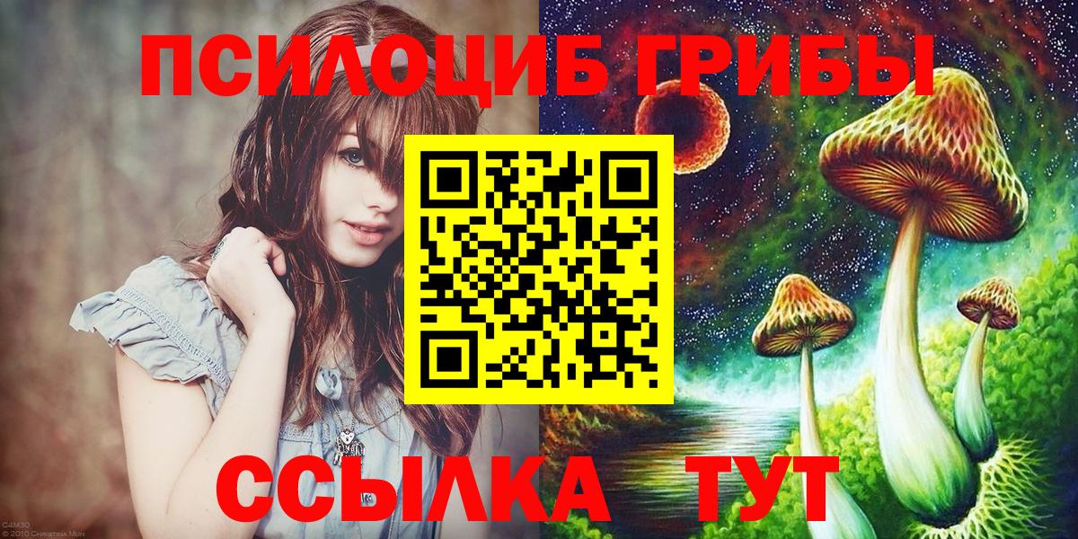 Советская Гавань  Псилоцибиновые грибы мицелий  Вход с VPN 